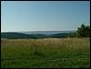 060705_PICT0046.JPG