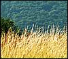 060705_PICT0047.JPG