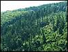 060705_PICT0056.JPG
