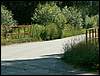 060705_PICT0065.JPG
