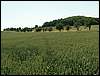 060705_PICT0087.JPG