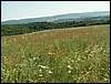 060705_PICT0097.JPG
