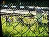 060705_PICT0104.JPG