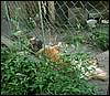 060705_PICT0106.JPG