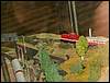 060705_PICT0142.JPG