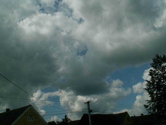 060713b_PICT0013.JPG