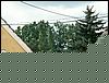 060713b_PICT0007.JPG
