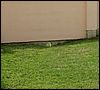 060713b_PICT0008.JPG