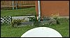 060713b_PICT0014.JPG