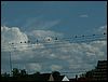 060713b_PICT0029.JPG
