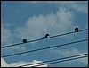 060713b_PICT0035.JPG