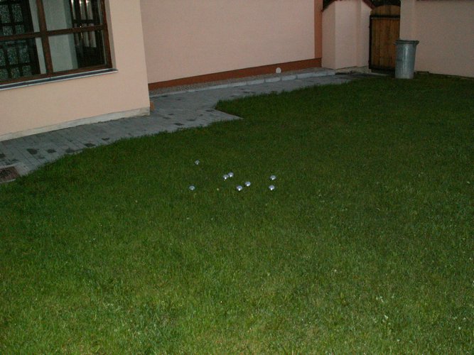 060815_PICT0013.JPG