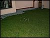 060815_PICT0013.JPG