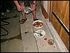 060815_PICT0017.JPG