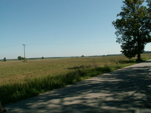 060817_PICT0003.JPG