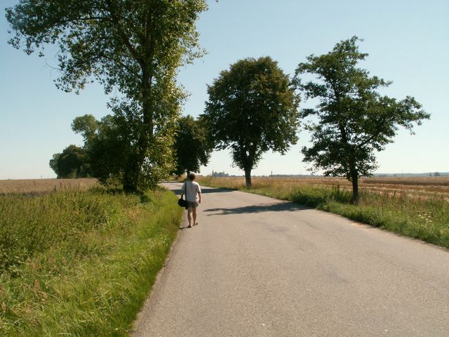 060817_PICT0004.JPG