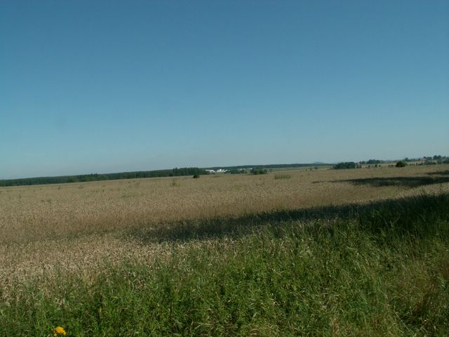 060817_PICT0006.JPG