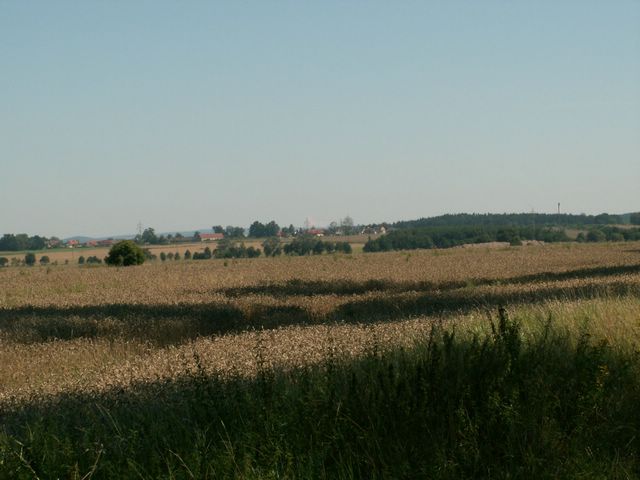060817_PICT0008.JPG
