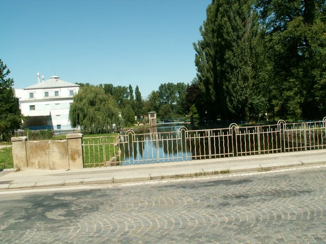 060817_PICT0015.JPG