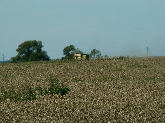 060817_PICT0019.JPG