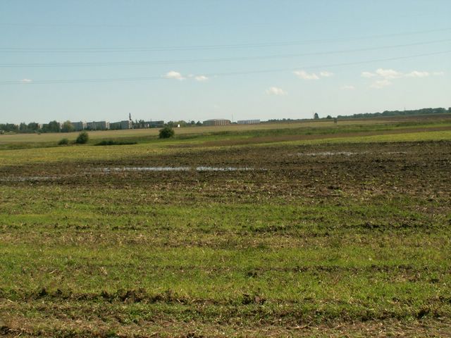 060817_PICT0020.JPG
