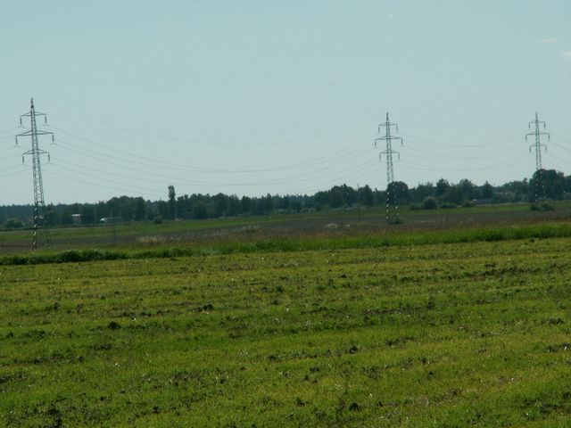 060817_PICT0022.JPG