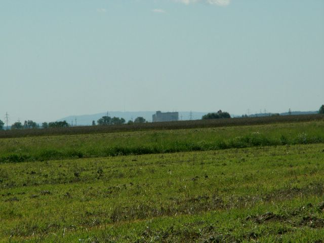 060817_PICT0023.JPG