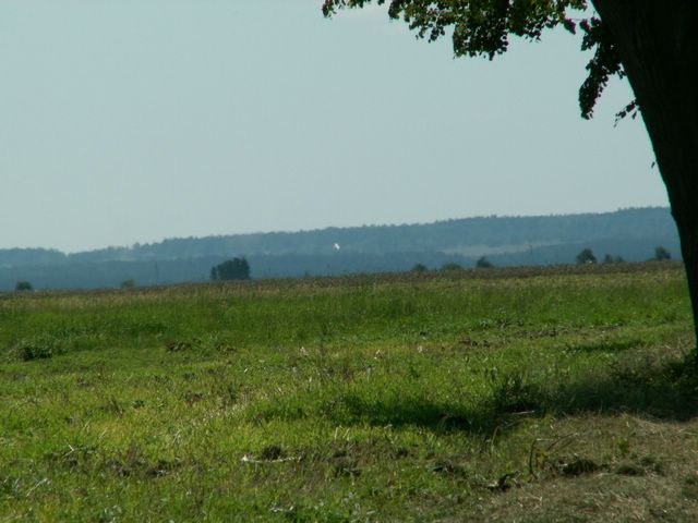 060817_PICT0024.JPG