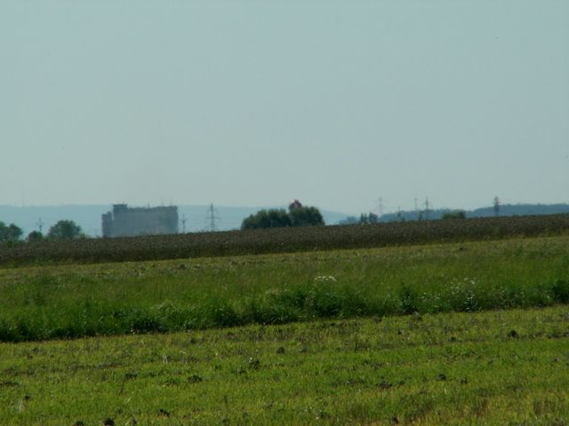 060817_PICT0025.JPG