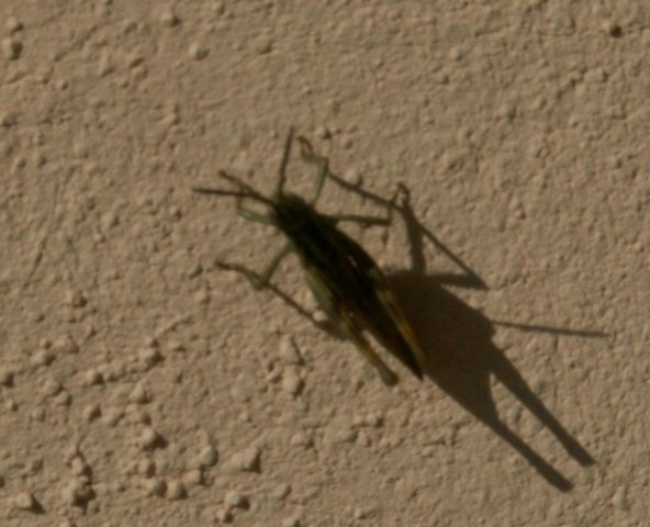 060817_PICT0036.JPG