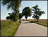 060817_PICT0004.JPG