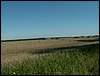 060817_PICT0006.JPG
