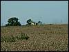 060817_PICT0019.JPG