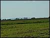 060817_PICT0023.JPG