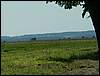 060817_PICT0024.JPG