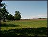 060817_PICT0031.JPG