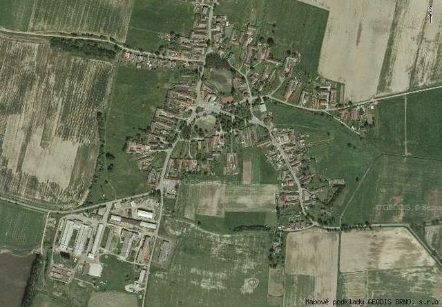 sviny2.jpg