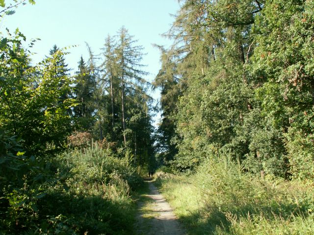 060909_PICT0004.JPG