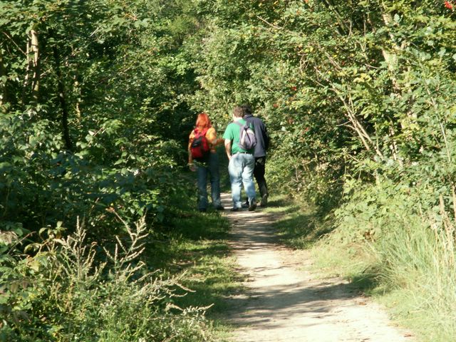 060909_PICT0005.JPG