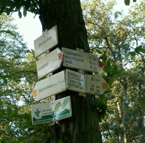 060909_PICT0008.JPG