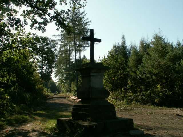 060909_PICT0009.JPG