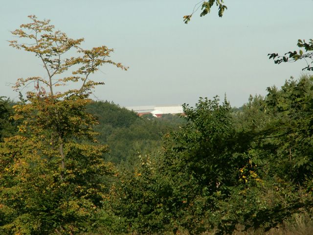 060909_PICT0012.JPG