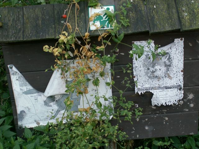 060909_PICT0013.JPG