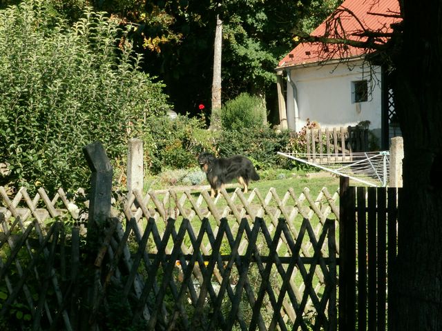 060909_PICT0014.JPG