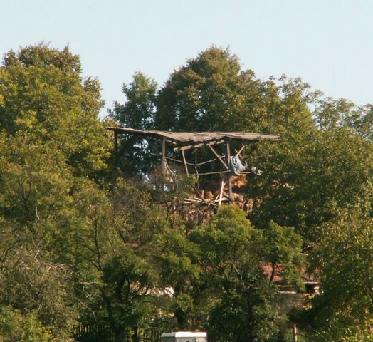 060909_PICT0016.JPG