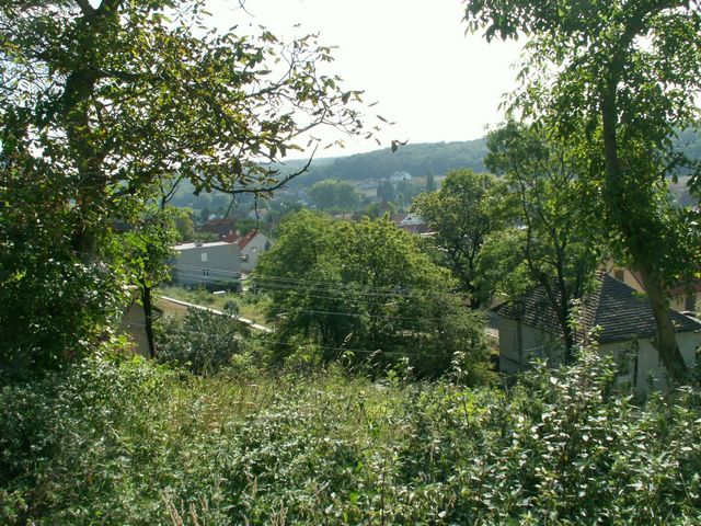060909_PICT0028.JPG