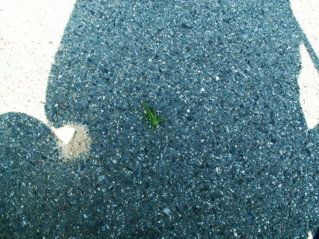 060909_PICT0041.JPG