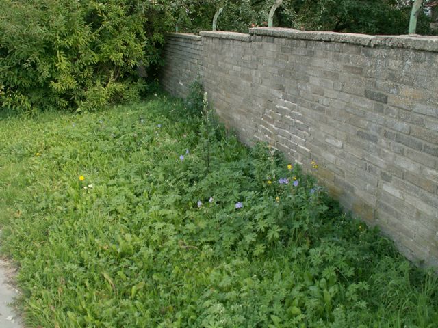 060909_PICT0064.JPG