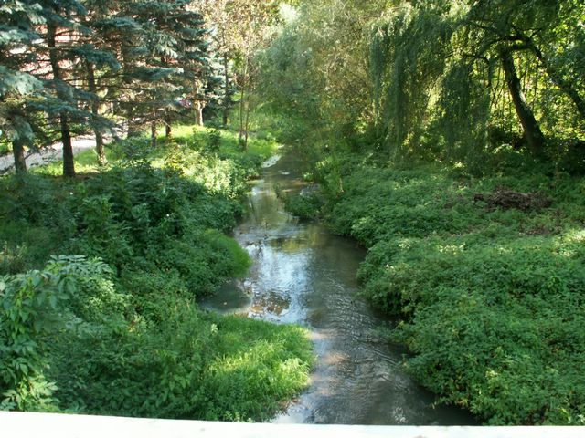 060909_PICT0070.JPG