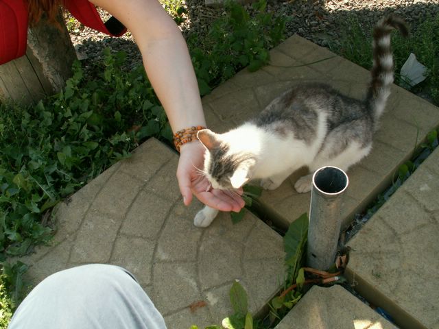 060909_PICT0119.JPG